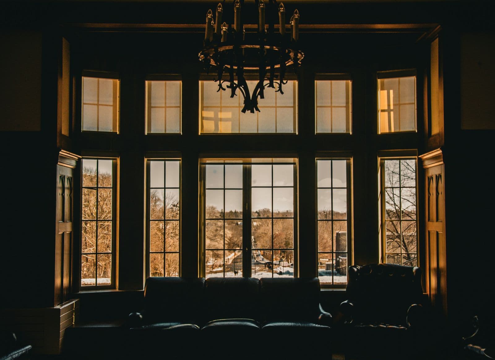 TrueVue residential application